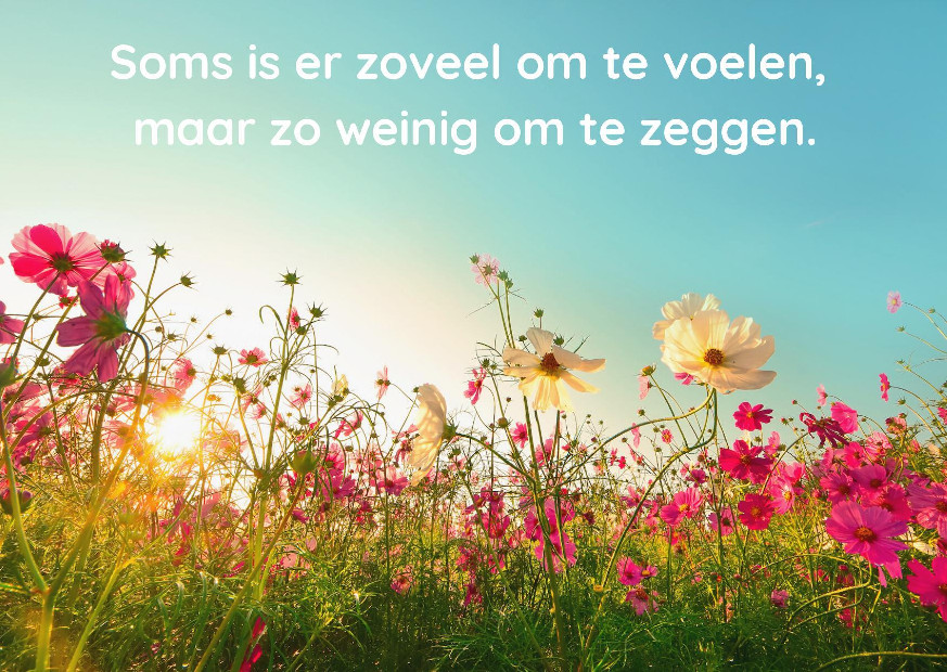 Troostkaart - Wenskaart - zoveel om te voelen - troost - steun - rouw - verlies - rememberme webshop